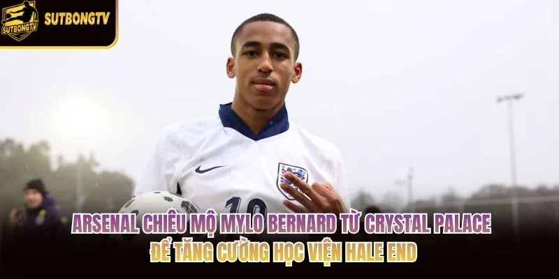 Arsenal chiêu mộ Mylo Bernard từ Crystal Palace để tăng cường học viện Hale End