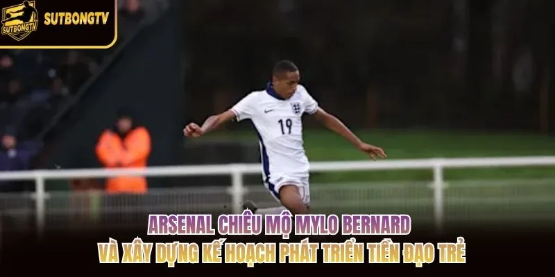 Arsenal chiêu mộ Mylo Bernard và xây dựng kế hoạch phát triển tiền đạo trẻ