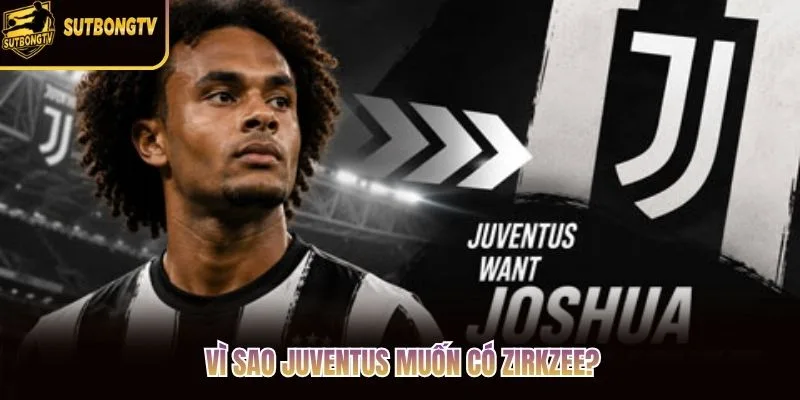 Vì sao Juventus muốn có Zirkzee? Vì sao Juventus muốn có Zirkzee?